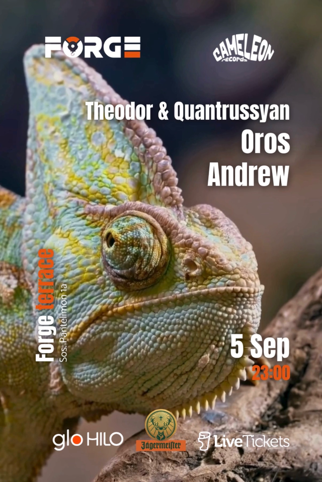 Flyer Cameleon Records - Label night